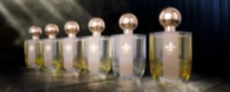 Perfumes Nicho de Aco